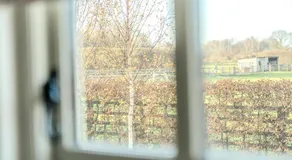Red Robin Retreat - Image 4
