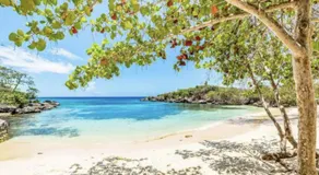 SweetOasis-King Bed-Pool-BBQ Grill-Free StarLink Wifi 250Mbps-Solar Powered-Free Parking-Gated Complex-Near Ocho Rios - Image 5