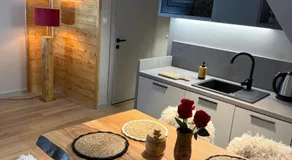 Góralskie Nowe Apartamenty Białka - Basen z podgrzewaną wodą, Sauny, Bania, Sale zabaw - w cenie - Image 4