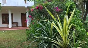 Thotupola Villa - Mirissa - Image 5