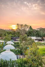 Chaba Resort Chanthaburi - Image 4
