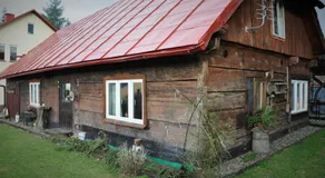 u bażanta - Image 4