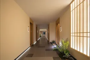 Cat's Faraway Hotel (Lingshui Nanwan Monkey Island) - Image 3