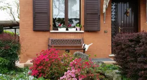 B&B Accanto al Focolare 2 - Image 4