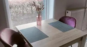 De Lindehoeve Appartement de Pompestraat - Image 4