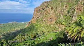 Los viñedos - Image 4