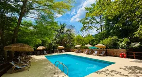 Khao Sok Paradise Resort - Image 2