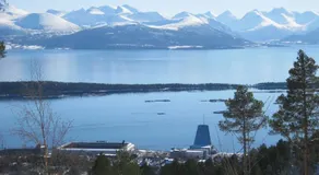 Molde Vandrerhjem - Image 5