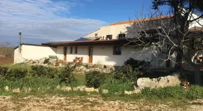 B&B NUZZI - Image 5