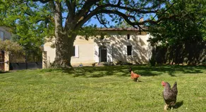 Chambres familiales dans une Jolie Maison Girondine - Image 4