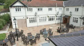 Rose of York - Image 5