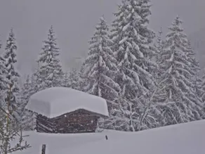 Alpengasthof Rossmoos - Image 4