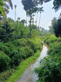 Simple Private Homestay Wayanad - Image 5