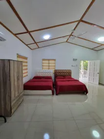 Durio Cottage Black Thorn - Image 3