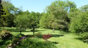 LA CHERIELLE - Image 4