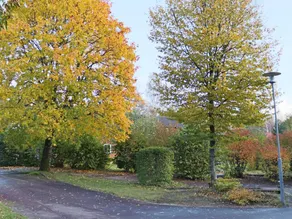 person holiday home in HYLTEBRUK-By Traum - Image 4