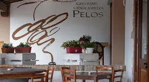 Agriturismo Pelos - Image 4