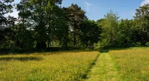 Herstmonceux Castle - Bader Hall - Image 3