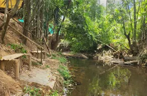 Bamboo Water Nature Stay - Image 3