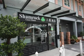 Shamrock Garden - Image 5