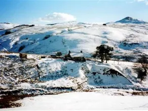Mountain View Farm - Image 4