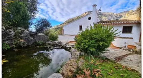 Saluda Alta - Image 4