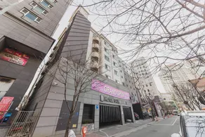 Hanam Baum - Image 5