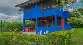 Guacamayo Azul - Image 5