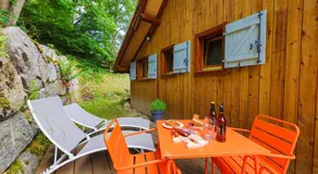 Chalet Anemone - Image 4