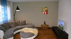 Mayers Swiss House, private home for 2-6 guests - Image 2