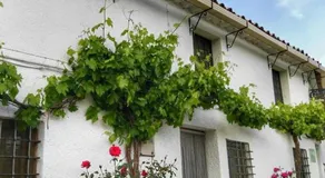 Casa Rural El Cortijo Nuevo, en El Cerezo - Image 2