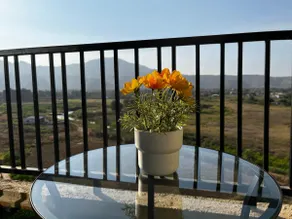 Lovely 1 BHK fully Furnished Apartment. - Image 4