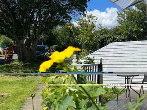 Modern Private Studio Auckland-Private Entrance-Free Parking-Near CBD - Image 4