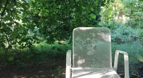 Gartenblick - Image 4