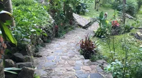 Peaceful Hideaway - Image 5