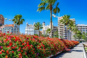 Villa Bruno&Playa de Valencia - Image 5