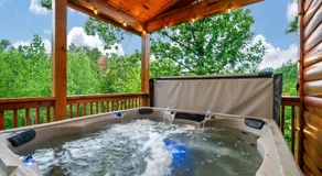 New Listing - Dollywood - HotTub - Arcade - Grill - Image 4