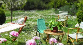 B&B Tobia - Image 5