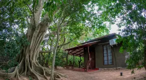 Wilpattu Mookalan Resort - Image 2