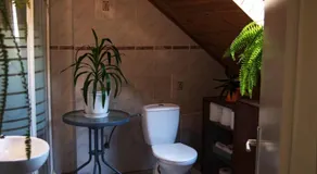 Beauty-Spa Apartment - Image 5