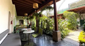 Tropicana La Catedral - Image 3