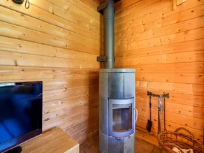 Bungalow in Holten near Forest Trails - Image 4