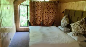 houseboat star ruby snow view - Image 5