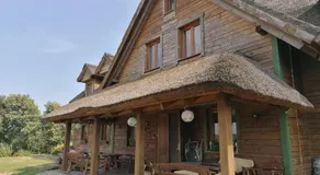Mazurska Knieja - Image 3