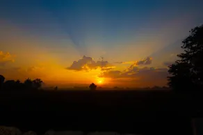 Mango Garden Resort - Image 4