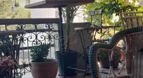 LA TERRASSE VIGNERONNE - Image 4