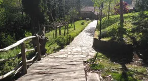 Muiño das Cañotas - Image 4