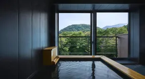 Hakone Hibarino hot spring hotel - Image 3