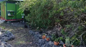 Affordable Hawai'i - Image 4
