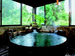 Hotel Daikogen - Image 4